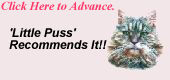 Click Here to Advance..
